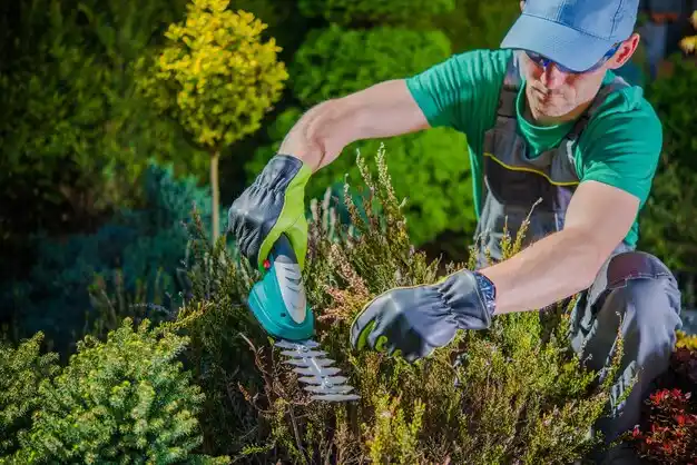 landscaping services Port Leyden